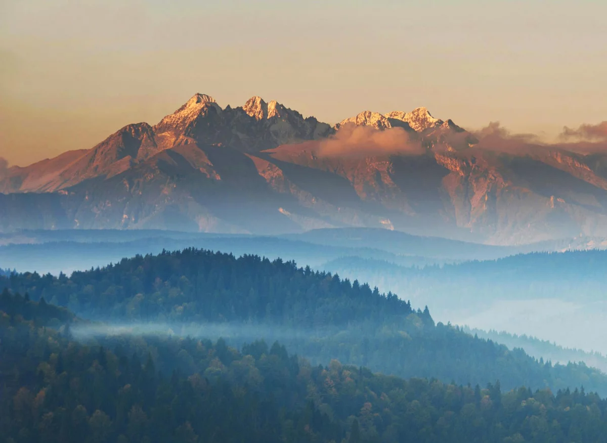 Czy w 2023 zdołasz obliczyć ślad węglowy w firmie?