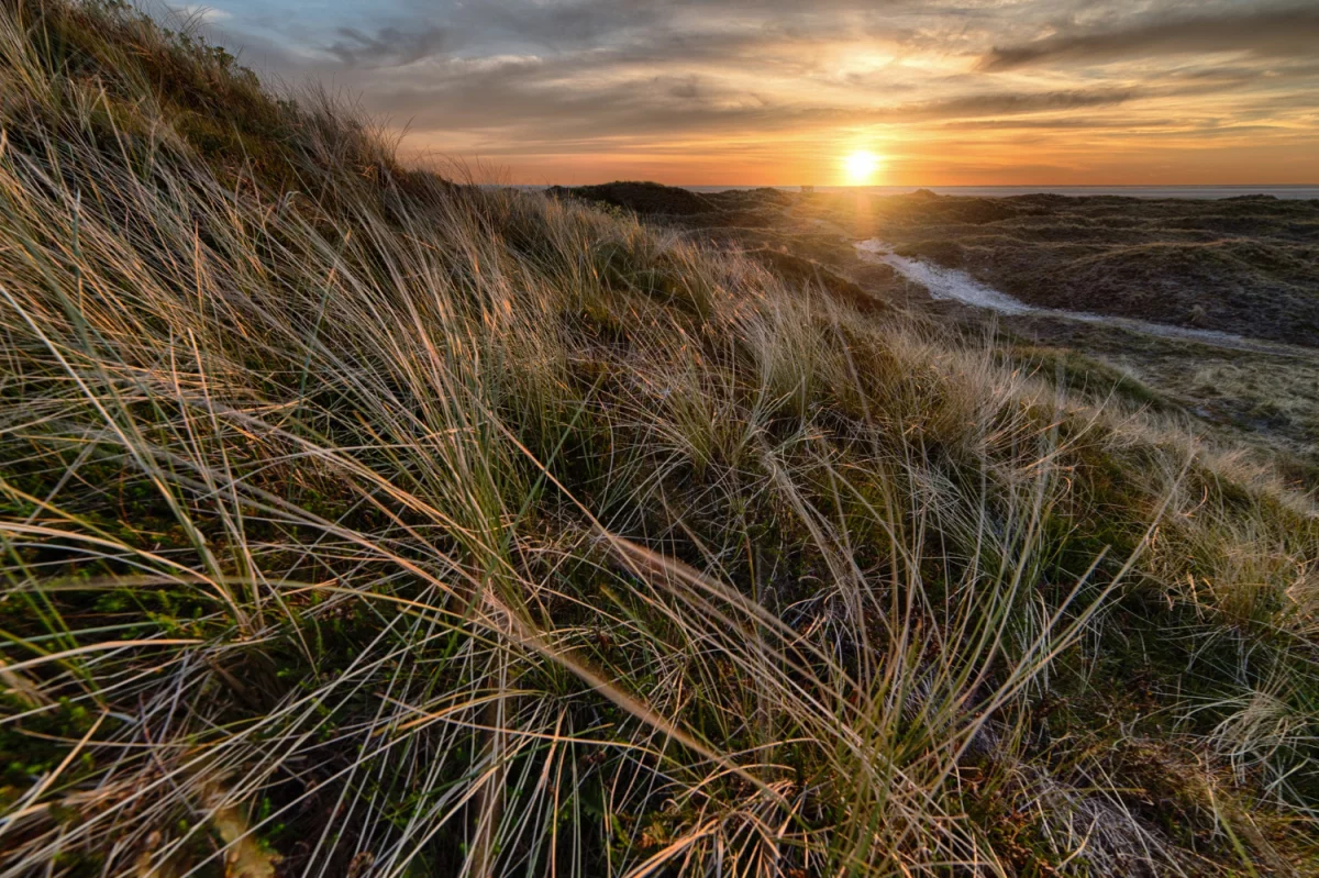 To Nie Twoja Wina, że Nie Wiesz Jak zamontować klimatyzację (chyba, że Popełniasz Te 5 Największych Błędów)