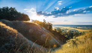 Szukam informacji jak raportować do BDO i KOBIZE