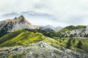 BDO we Francji: przewodnik po rejestracji, obowiązkach firm i zasadach ewidencji odpadów